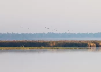 Žuvinto Biosferos Rezervate Pradedami Aplinkos Pokyčių Stebėjimai