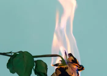 24 treniruočių dainos, padėsiančios įveikti savo buv