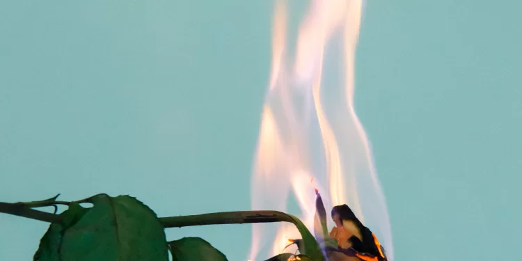 24 treniruočių dainos, padėsiančios įveikti savo buv