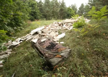 Aplinkos Ministras Teikia Baudžiamojo Kodekso Pataisas, Griežtinančias Atsakomybę Už Aplinkai Padarytą žalą