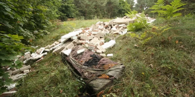 Aplinkos Ministras Teikia Baudžiamojo Kodekso Pataisas, Griežtinančias Atsakomybę Už Aplinkai Padarytą žalą