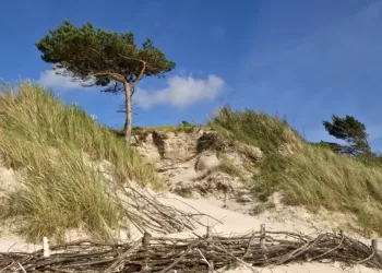 Pajūrio Juostos Tvarkymo Programoje Iki 2032 M. Siūloma Tęsti Dabar Vykdomas Krantotvarkos Priemones