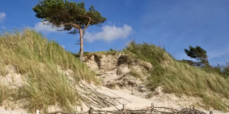 Pajūrio Juostos Tvarkymo Programoje Iki 2032 M. Siūloma Tęsti Dabar Vykdomas Krantotvarkos Priemones