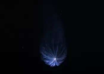 „SpaceX“ atideda „Starlink“ paleidimą, nes NASA įgulos misijai teikiama pirmenybė