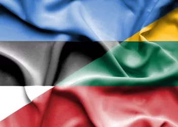 Vyriausybės vadovė pasveikino Estiją Nepriklausomybės dienos proga