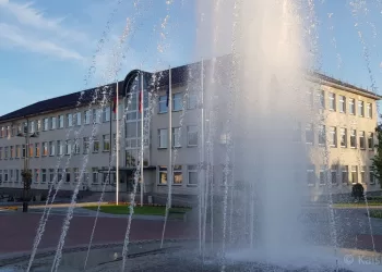 Apklausa: Už Ką Balsuosite Kaišiadorių Rajono Savivaldybės Mero Rinkimuose?