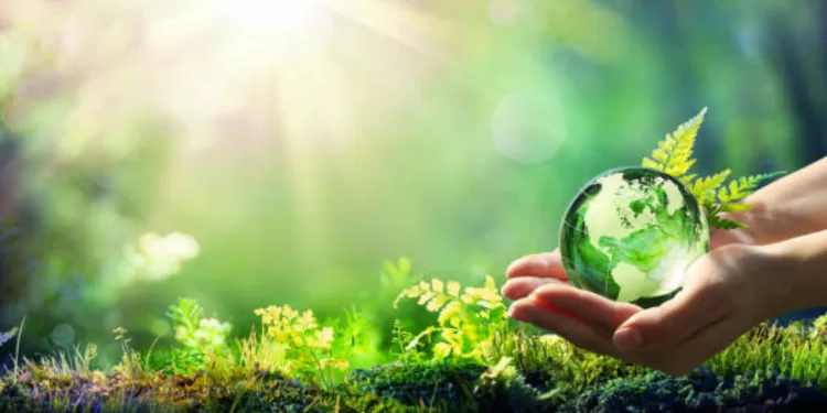 Būdai, kaip sumažinti oro, dirvožemio bei vandens taršą