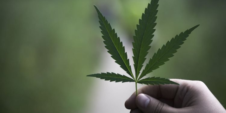 CBD ALIEJAUS APŽVALGA: VARTOTOJŲ PATIRTYS