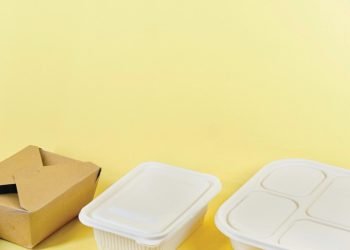 Kartoninių dėžių panaudojimo būdai stebina savo įvairove