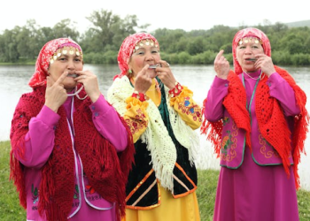 Ką verta sužinoti apie dambrelius?