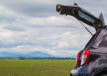 Įvertino automobilių pirkėjų pasirinkimą – dažniausiai lietuviai domisi universalais