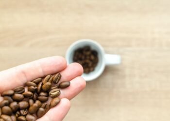 Kavos aparato pasirinkimas. Kurie techniniai parametrai yra patys svarbiausi?