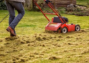 Kas yra vejos skarifikavimas ir kodėl jis reikalingas?