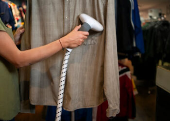 Garinis ar paprastas lygintuvas: kurį pasirinkti?