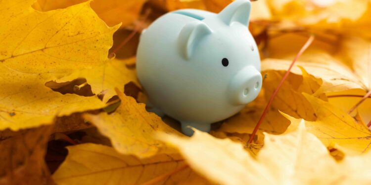 Artėja ruduo: kokius finansinius tikslus išsikelti? Artėja ruduo: kokius finansinius tikslus išsikelti?