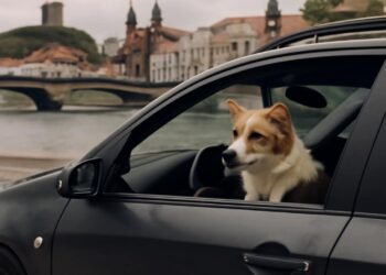 Kaip saugiai ir patogiai keliauti su augintiniu automobiliu
