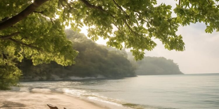 Paslaptingos Ramiojo vandenyno salos: kur pailsėti be didelių išlaidų Paslaptingos Ramiojo vandenyno salos: kur pailsėti be didelių išlaidų