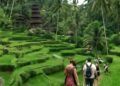 Indonezija Bali 5 dienų maršrutas be agentūros