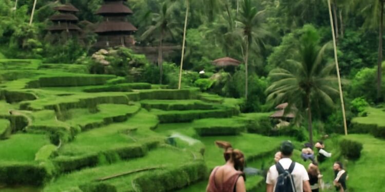 Indonezija Bali 5 dienų maršrutas be agentūros Indonezija Bali 5 dienų maršrutas be agentūros