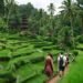 Indonezija Bali 5 dienų maršrutas be agentūros Indonezija Bali 5 dienų maršrutas be agentūros