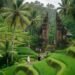 Indonezija Bali: 5 dienų maršrutas savarankiškiems keliautojams Indonezija Bali: 5 dienų maršrutas savarankiškiems keliautojams